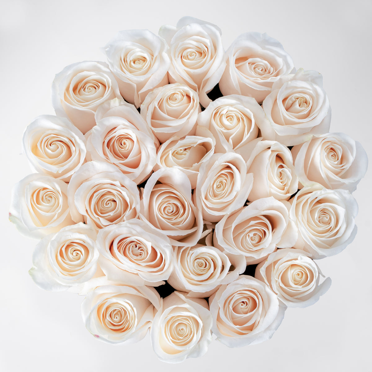 White Roses - Hatbox