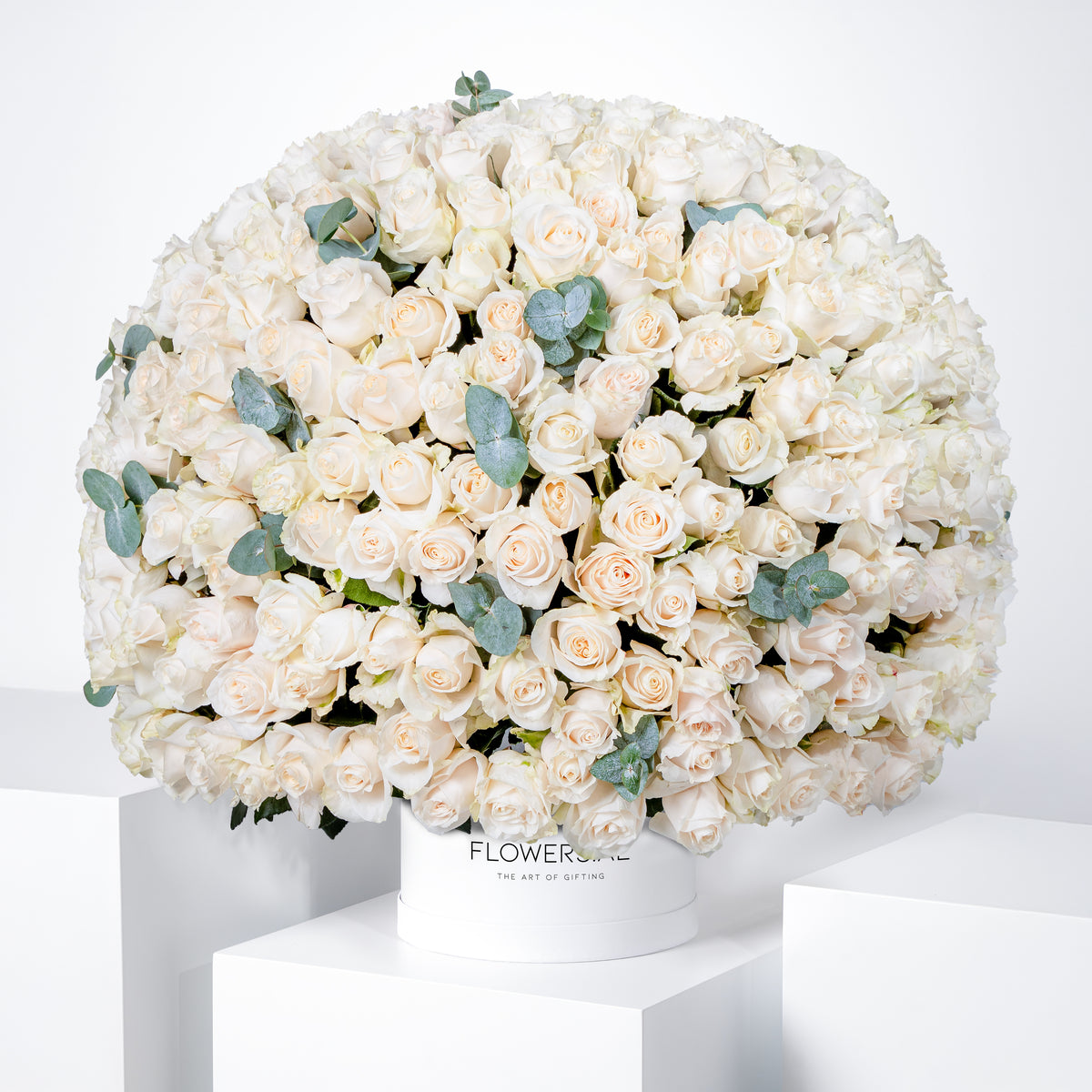 365 White Roses  Hatbox