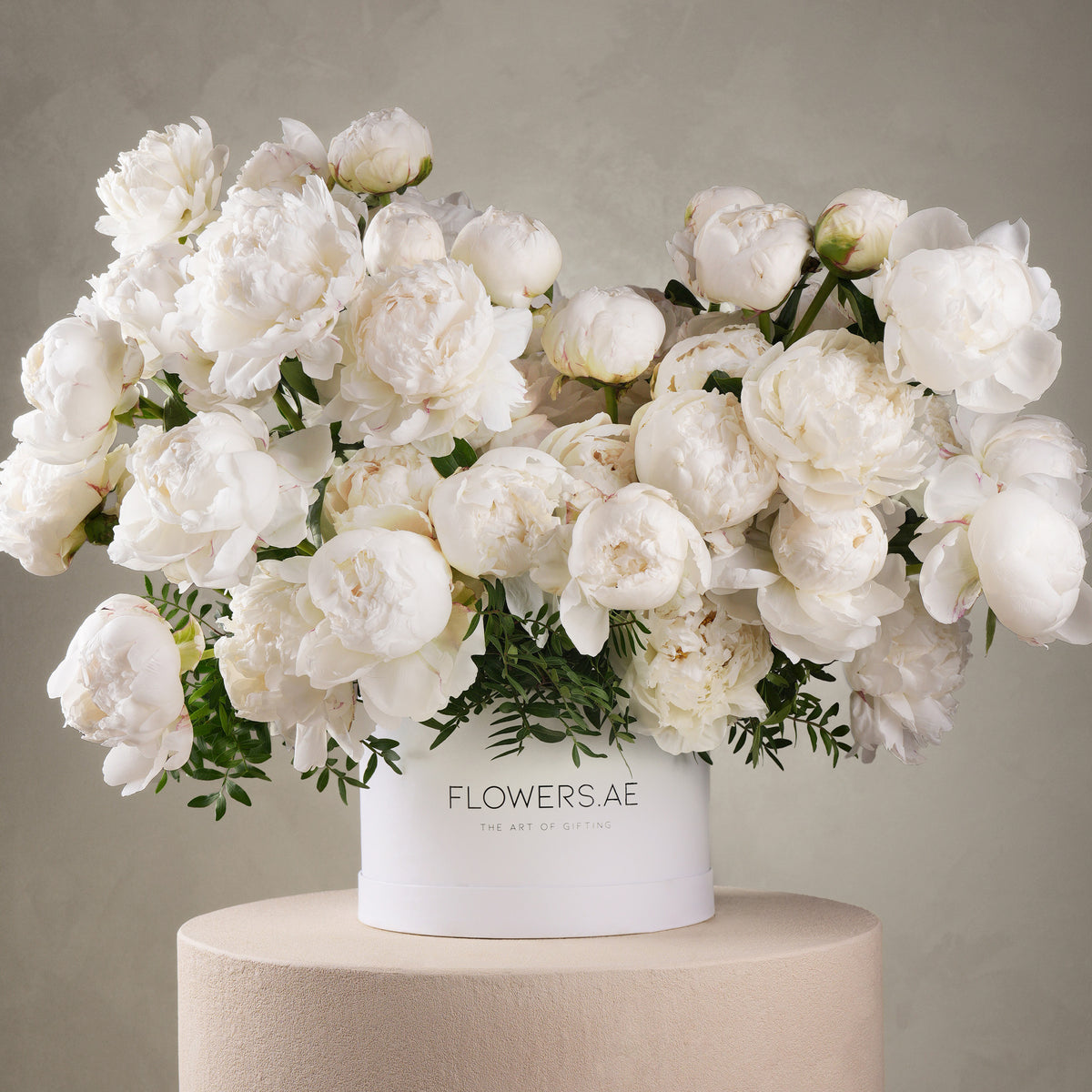 50 White Peony Hatbox