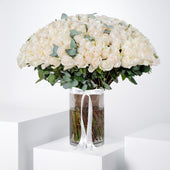 Valentine 200 White Roses  Vase