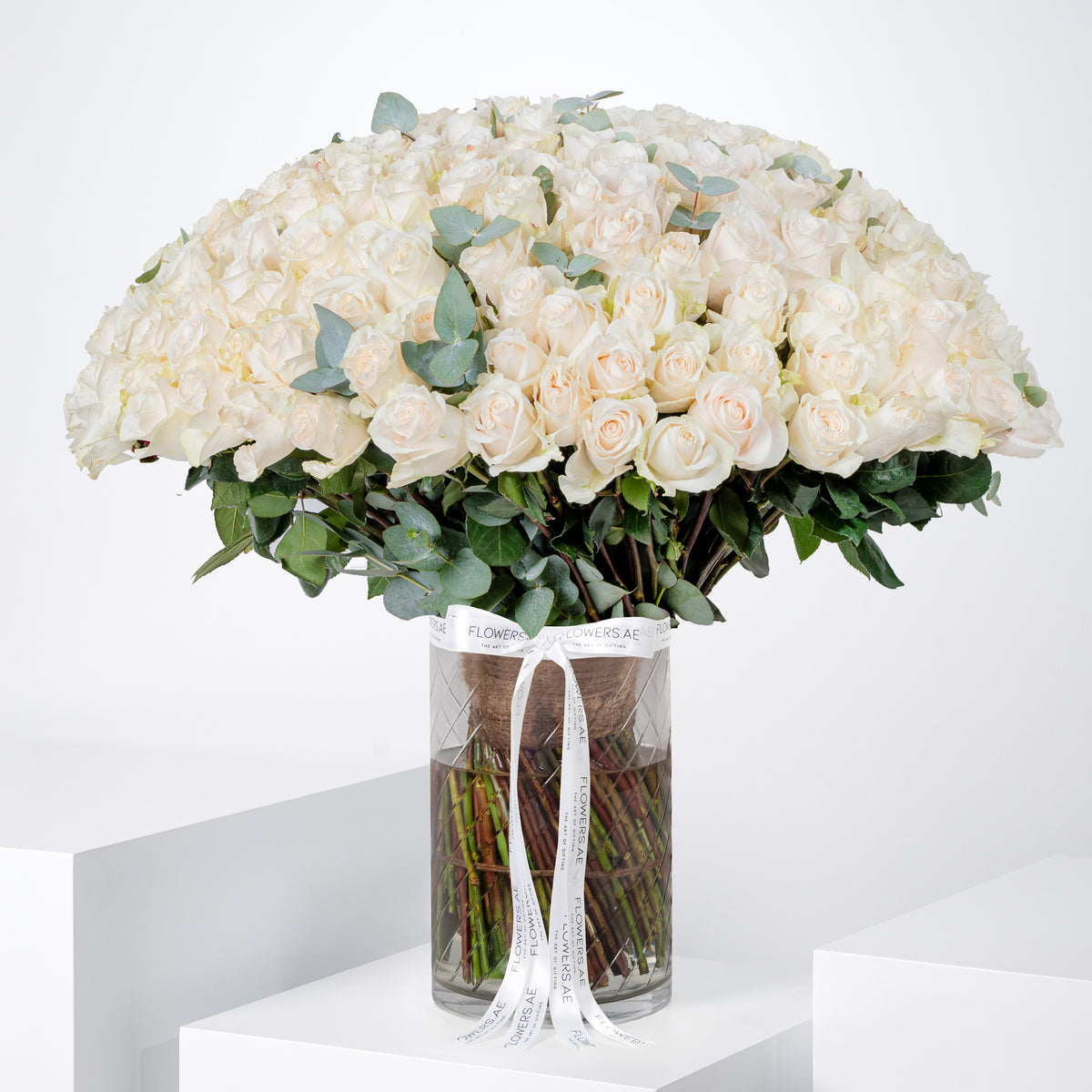 200 White Roses Vase