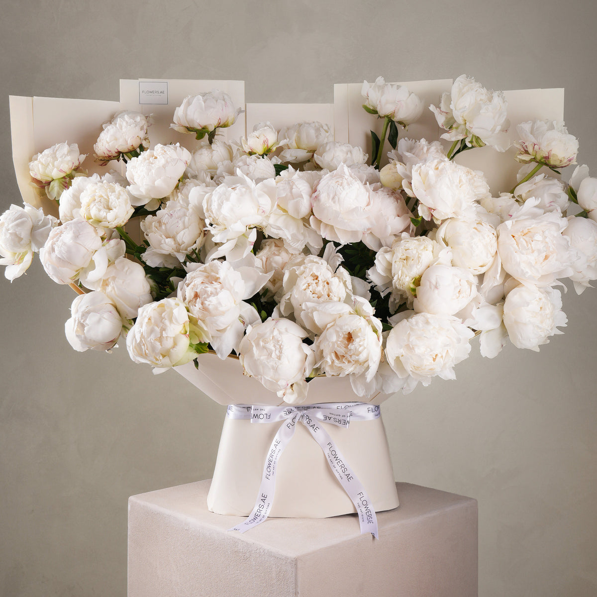 50 White Peony