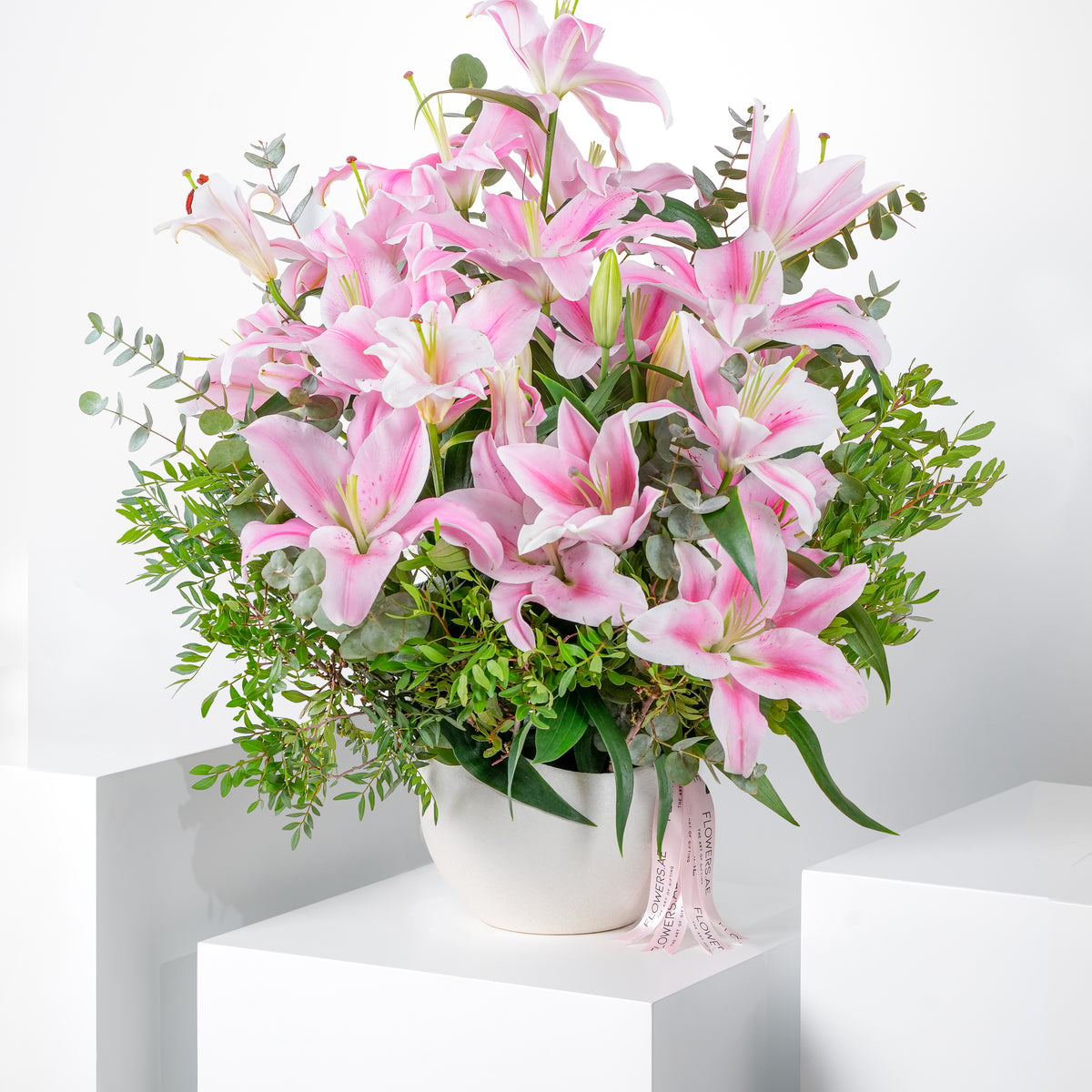 Get Well Pink Scented Lily