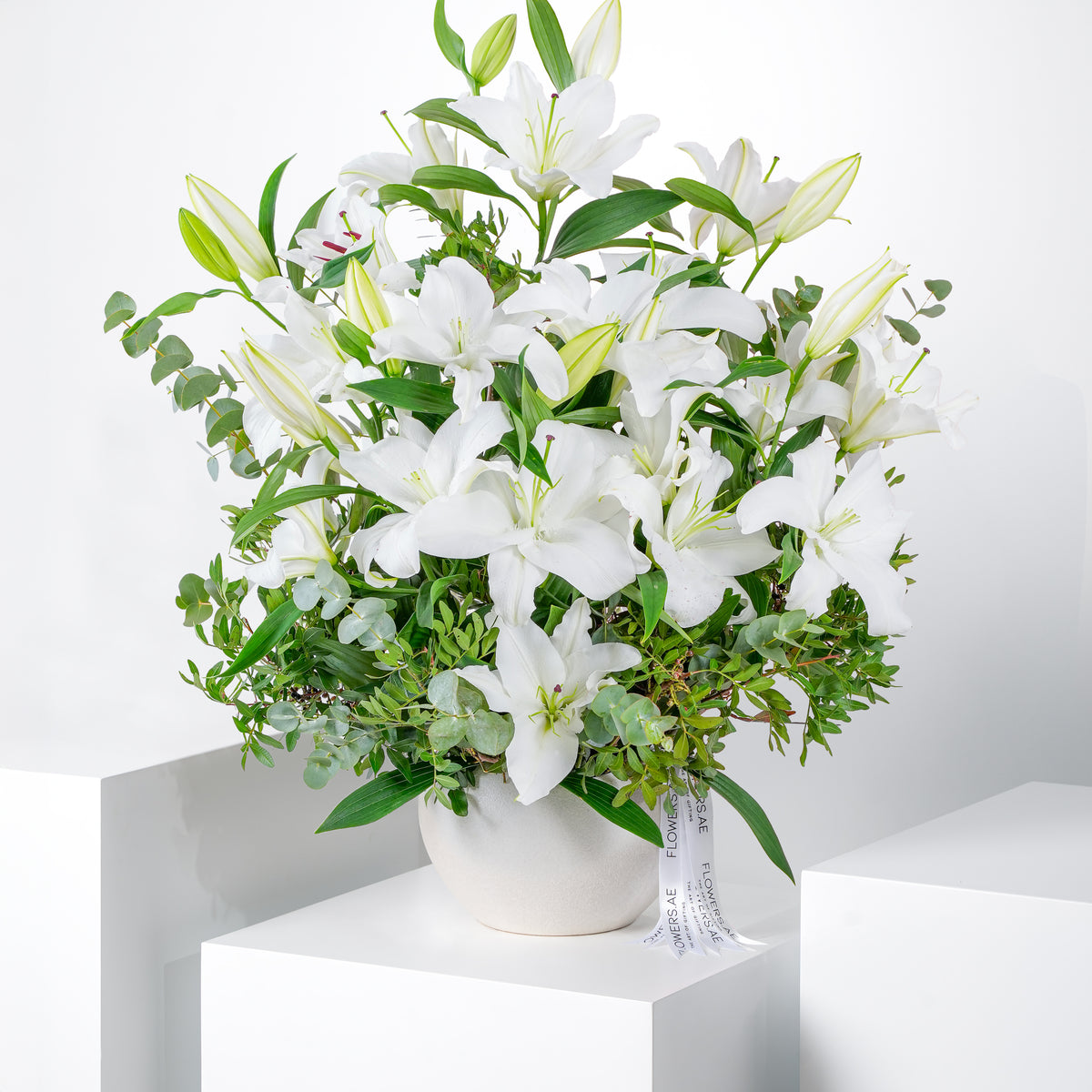 Get Well White Scented Lily