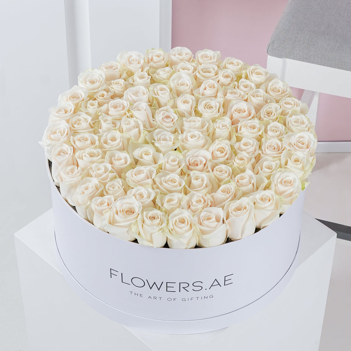 Valentine XXL White Roses Hatbox