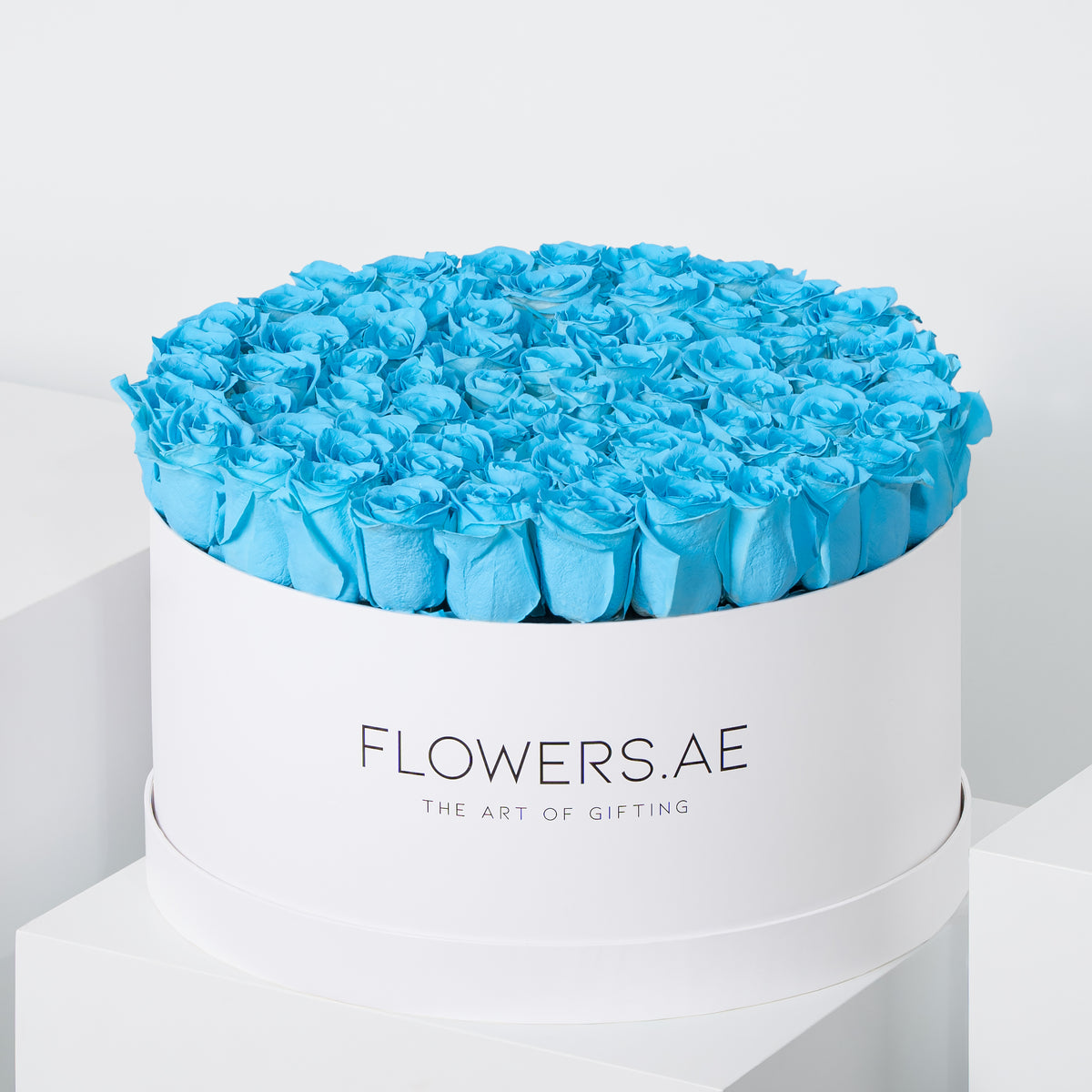 XXL Tiffany Blue Roses  Hatbox