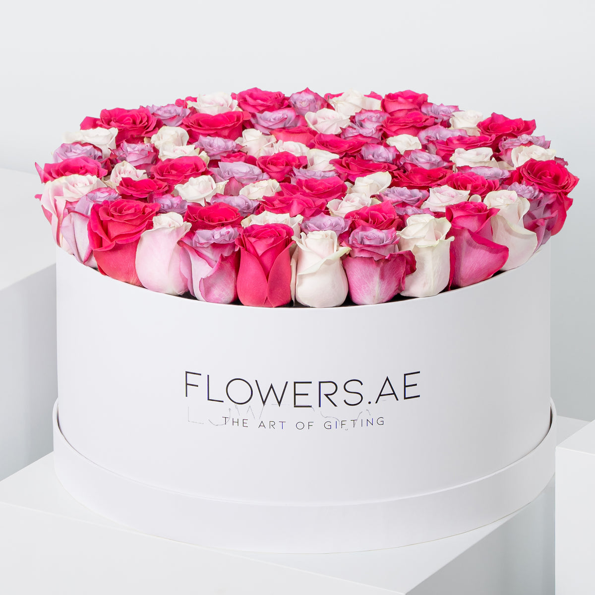 Valentine XXL Blush Roses Hatbox