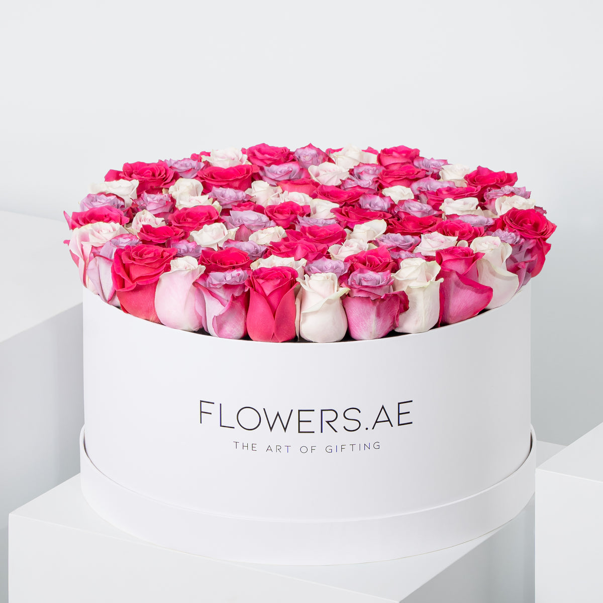 Valentine XXL Blush Roses Hatbox