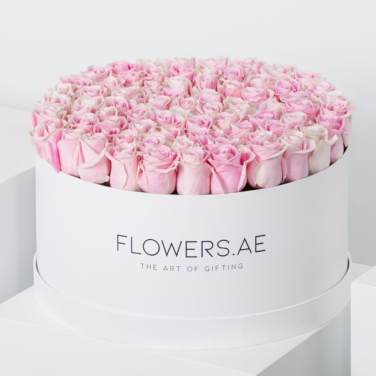 XXL Roses Hatbox