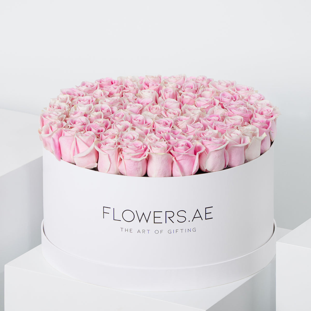 Valentine XXL Pink Roses Hatbox