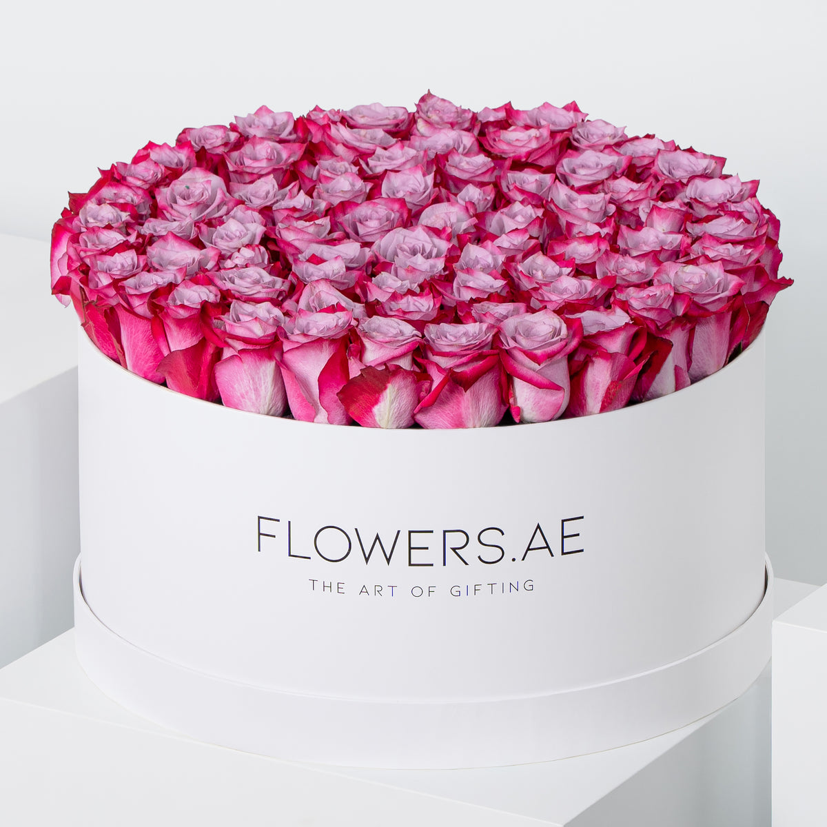 XXL Roses Hatbox