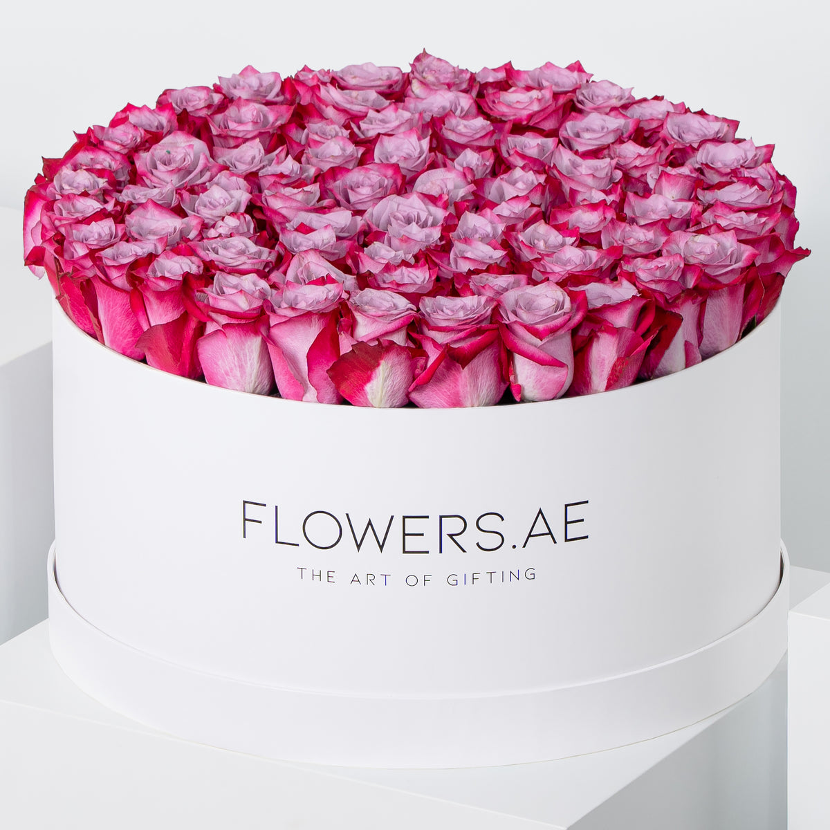 XXL Purple Roses Hatbox