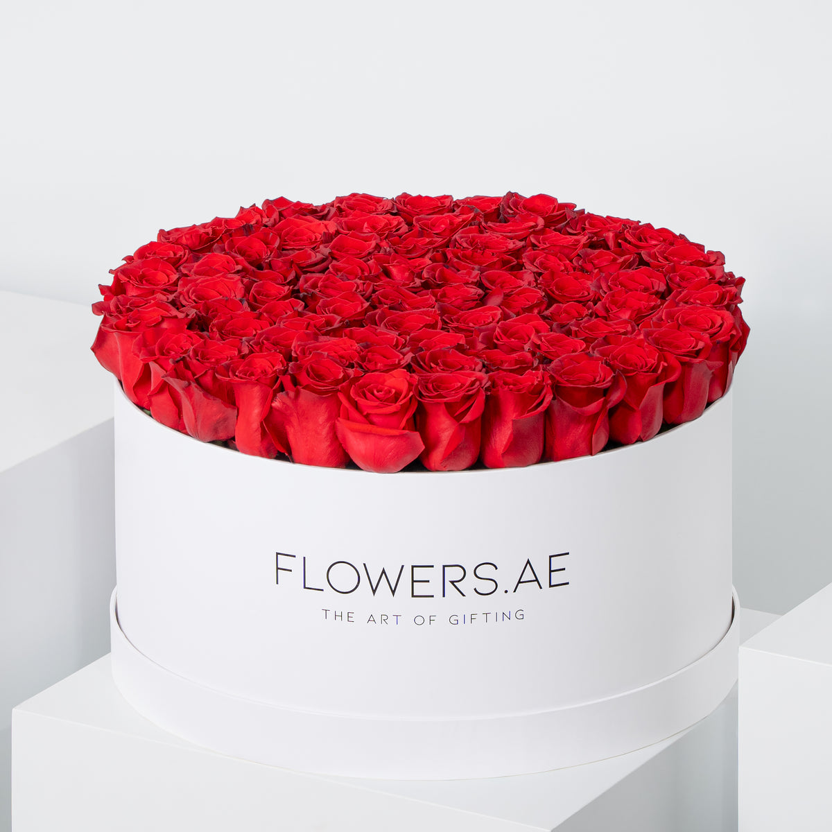 Valentine XXL Red Roses Hatbox