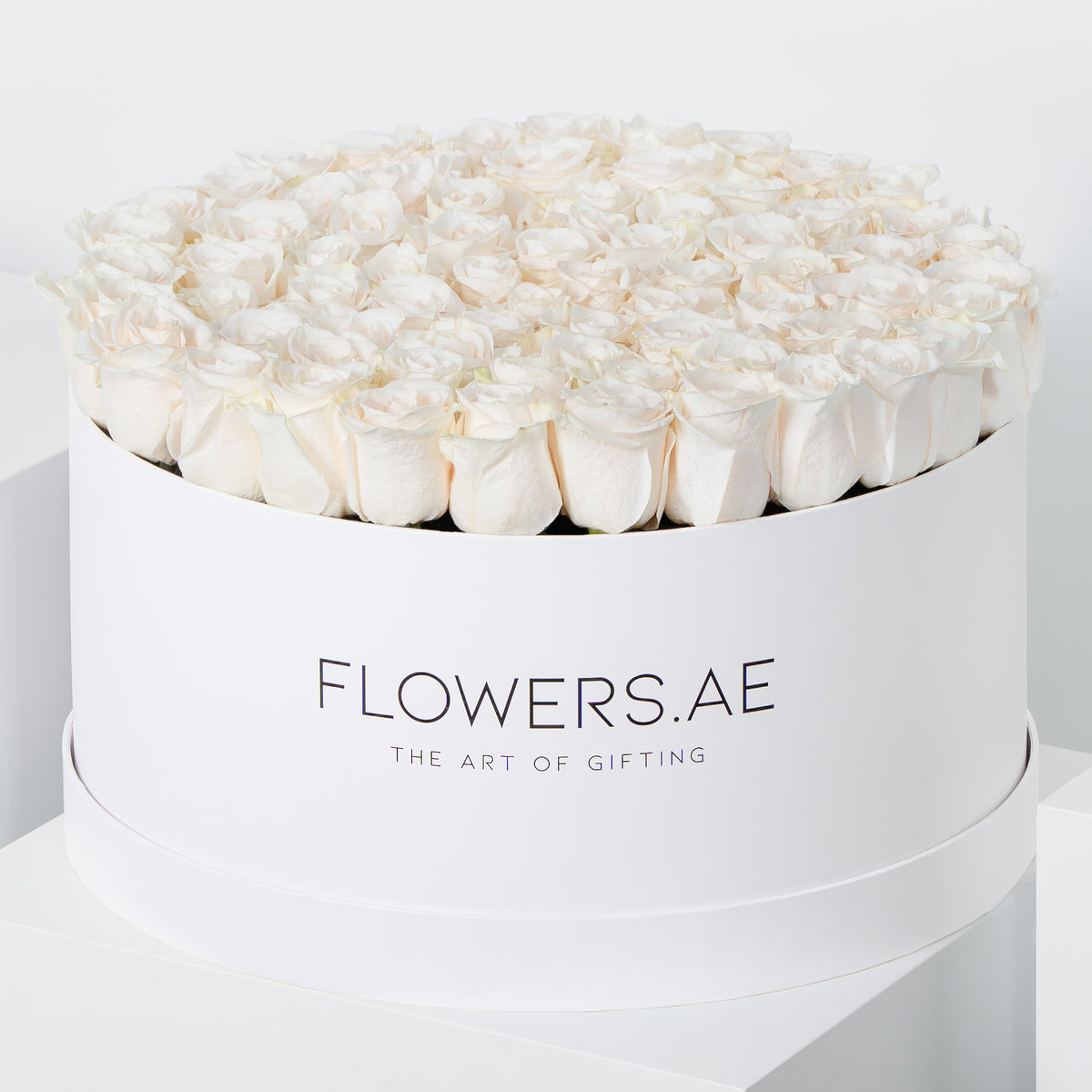 XXL White Roses Hatbox