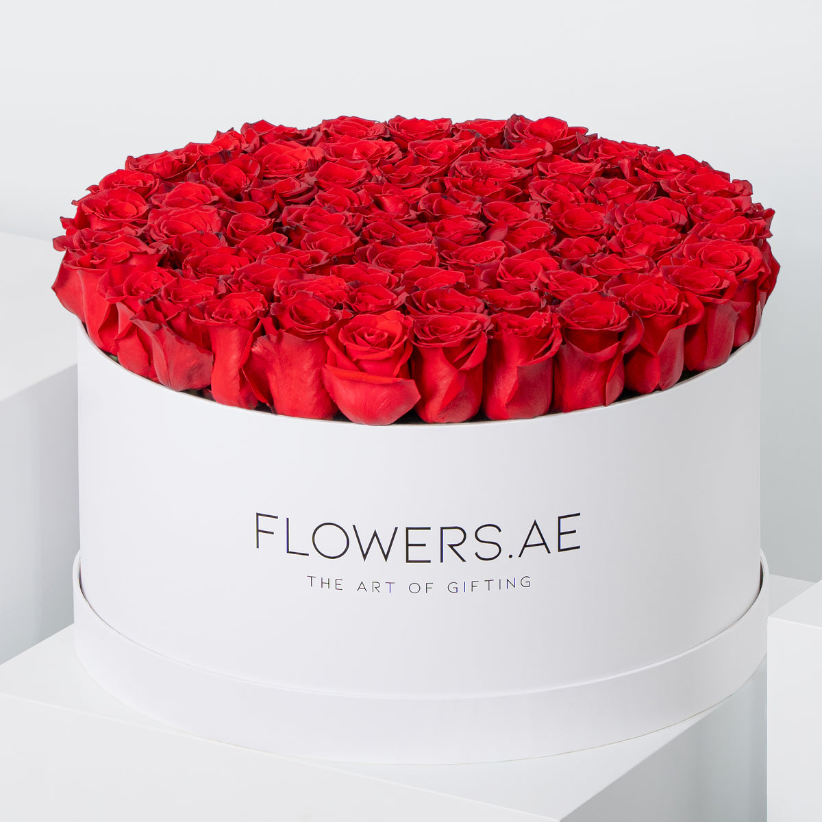 XXL Roses Hatbox